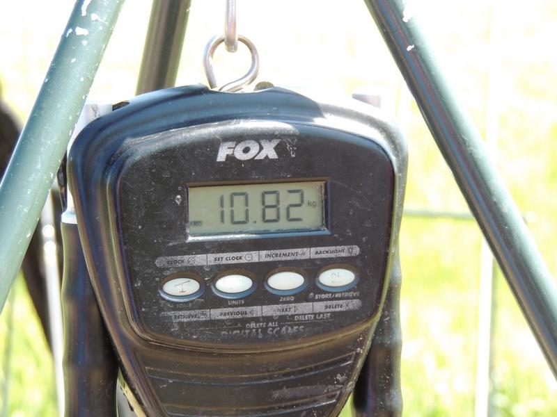 TROPHY CARP OF PRINTERS - captura-senzor-planet-cupa-tipografiilor.jpg